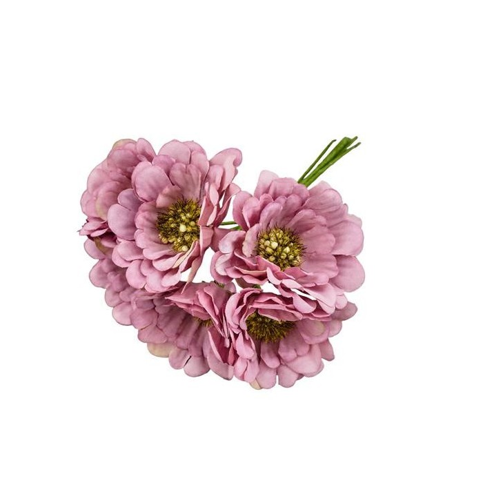 GERBERA SFUMATA MALVA D5